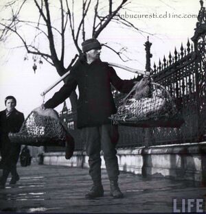 Margaret Bourke-White 015.jpg