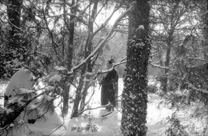 Parcul Cișmigiu din București, în februarie 1963 5.jpg