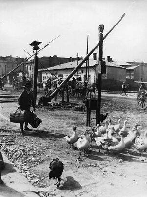 Bariera de cale ferată din Colentina, 1932.jpg