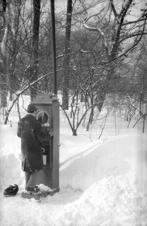 Parcul Cișmigiu din București, în februarie 1963 8.jpg