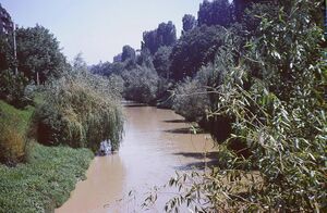 Dambovita-la-ciurel 1971.jpg