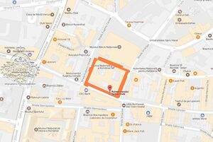 2017 Serban Voda Google.jpg