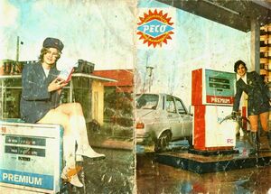 Peco benzinarie romania gas station.jpg