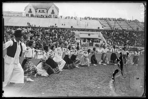 Stadionul ONEF 06 193x.jpg
