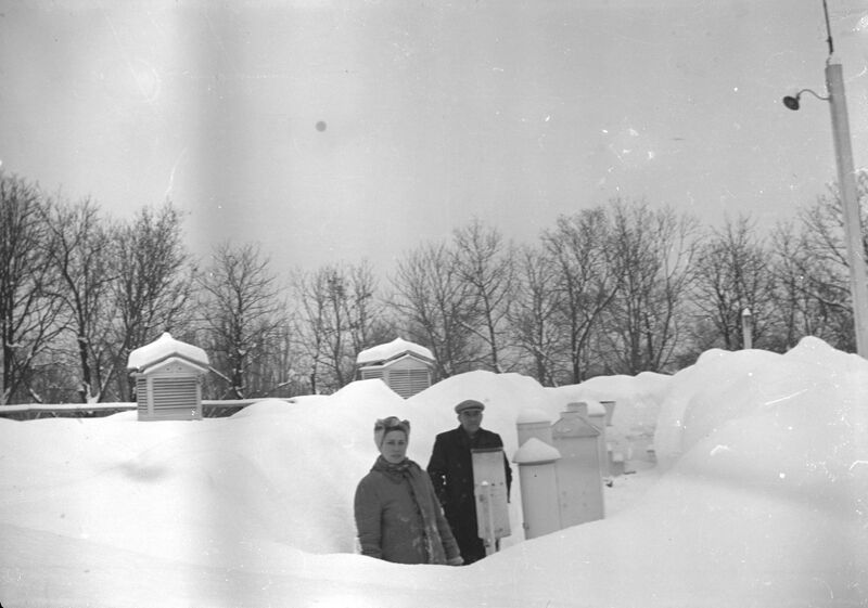File:Parcului Carol - strada Cuțitul de Argint.februarie 1954 7.jpg