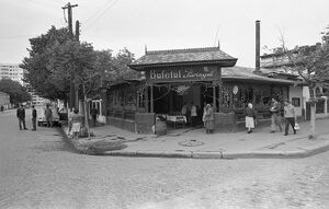 Sos. Pantelimon 1966.jpg