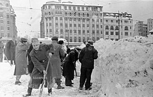 1954-01-24 Podul Izvor.jpg