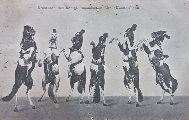 File:Circ Circus Zirkus Cesar Sidoli Cirque Royal 2 1898.jpg