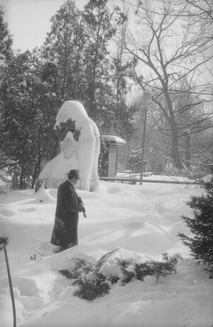 Parcul Cișmigiu din București, în februarie 1963 4.jpg