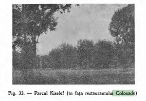 Restaurant Colonade Sos. Kiseleff Nr. 7.jpg