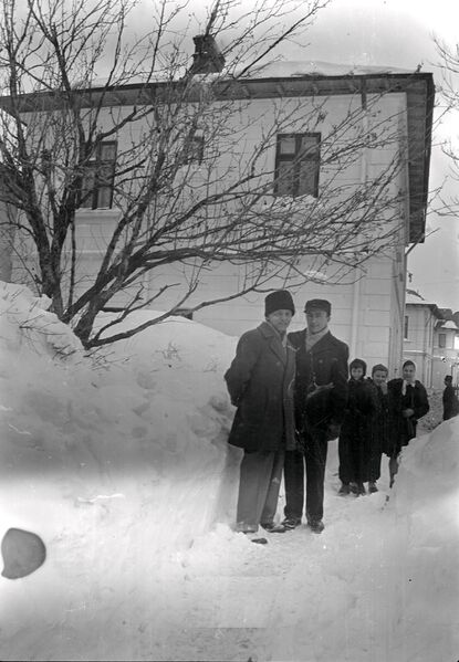 File:Parcului Carol - strada Cuțitul de Argint.februarie 1954 5.jpg