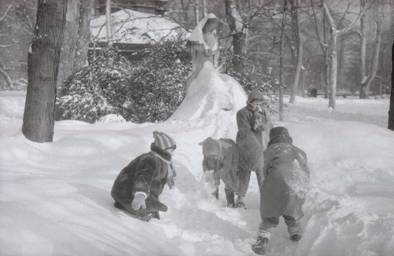File:Parcul Cișmigiu din București, în februarie 1963 15.jpg