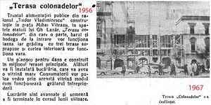 480538916 122226185792208569 3315822613283447228 n.jpg