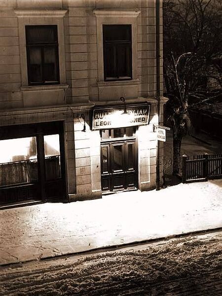 File:Hotel Princiar, bdul Elisabeta nr. 13 1926..jpg