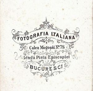 Clipboard 11-15-2024 01.jpg