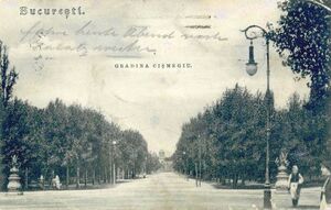 Gradina Cismigiu 1908.jpg