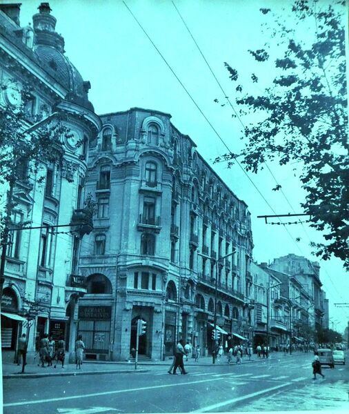 File:Fotografie din 1955 , Bucuresti , Beraria Gambrinus 3.jpg