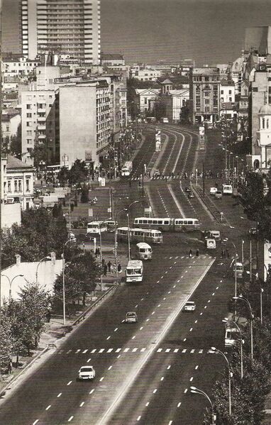 File:In inima orasului.jpg