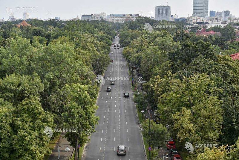 File:Soseaua Pavel D. Kiseleff 2019 02.jpg