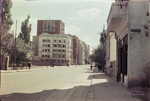 1975 imobilul Banloc-Goodrich.jpg