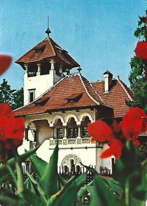 1971 Minovici Museum 1971.jpg