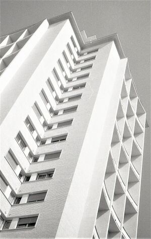 1961 3280846953872621568 n.jpg