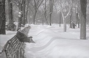 Parcul Cișmigiu din București, în februarie 1963 2.jpg