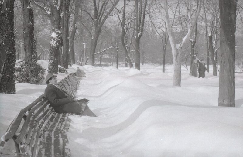 File:Parcul Cișmigiu din București, în februarie 1963 2.jpg