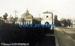 1925, Mitropolia Clopotnita, Aleea Patriarhia.jpg