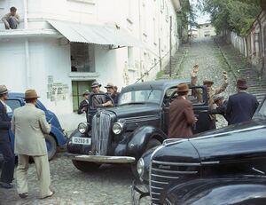 Str.Pelerinilor ( Scaricica ) 1.jpg