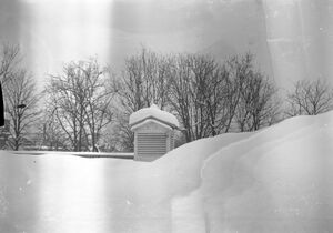 Parcului Carol - strada Cuțitul de Argint.februarie 1954 10.jpg