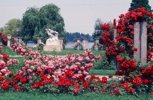 Joyce Pinsker bucharest 10 Ion Jalea, Hercule Centaurul.jpg