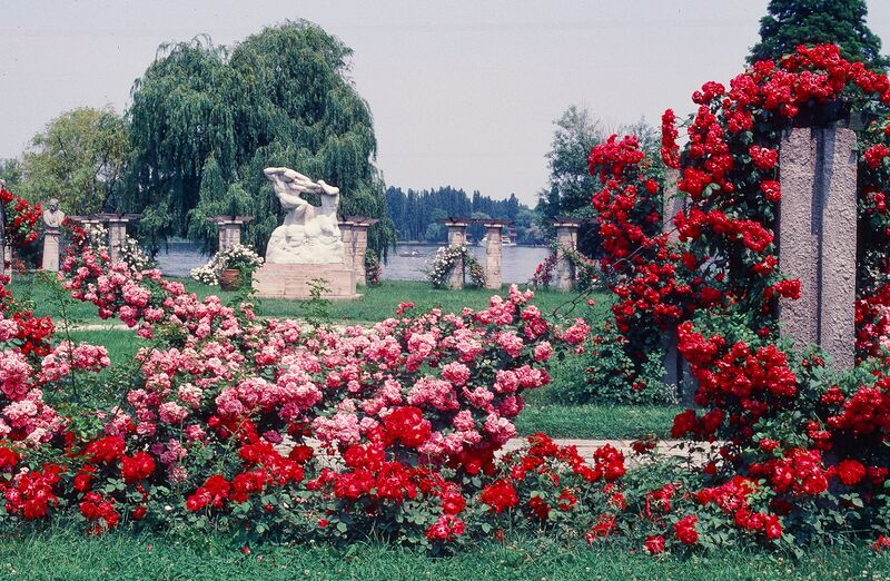 File:Joyce Pinsker bucharest 10 Ion Jalea, Hercule Centaurul.jpg