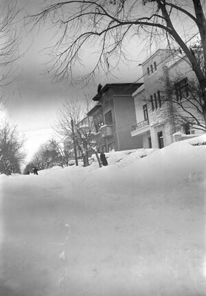 Parcului Carol - strada Cuțitul de Argint.februarie 1954 3.jpg