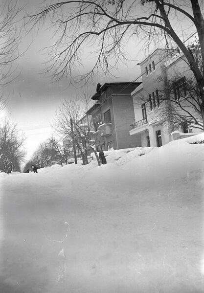File:Parcului Carol - strada Cuțitul de Argint.februarie 1954 3.jpg