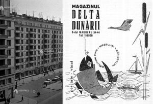 1962. Magazinul Delta Dunării.jpg