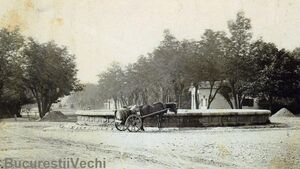 Fîntîna de la rondul 1 al Şoselei Kiseleff..jpg