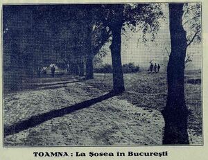 La sosea Realitatea ilustrată 10 noiembrie 1928.jpg
