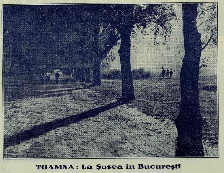 File:La sosea Realitatea ilustrată 10 noiembrie 1928.jpg