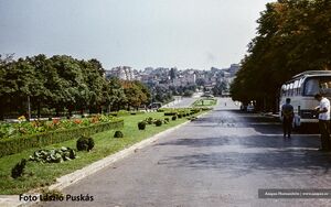 1973 (Dealul Patriarhiei), 1973.jpg