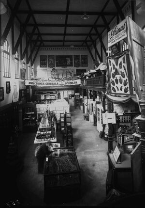 Vedere asupra unui segment de pavilion neidentificat..jpg