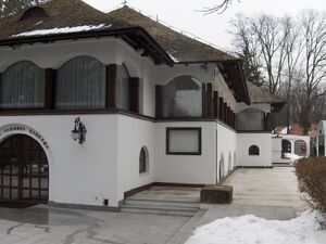 Casa Alba - Octav Doicescu 040.jpg