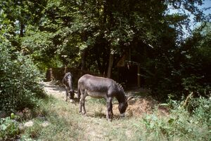 SIK 03-037156-Screen.jpg