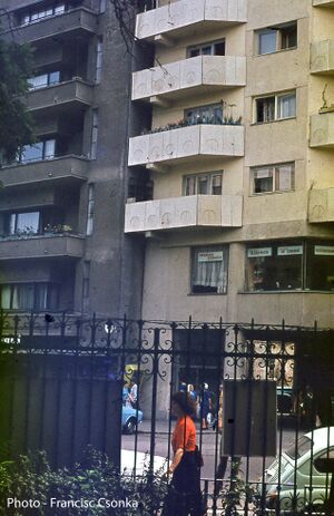 96909815 2882974348424323 7464988979645906944 n 12.jpg