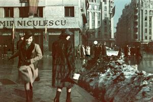 Calea Victoriei în spate - băcănia Dragomir Niculescu 1942.jpg