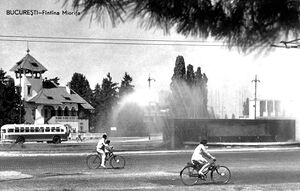 Vila Minovici (Muzeul de Artă Populară „Prof. Dr. Nicolae Minovici”).jpg