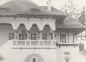 Vila-Minovici-bucuresti-centenar-01.jpg